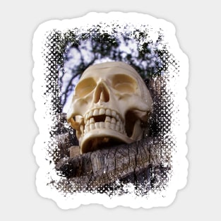 Skull in the woods Sticker